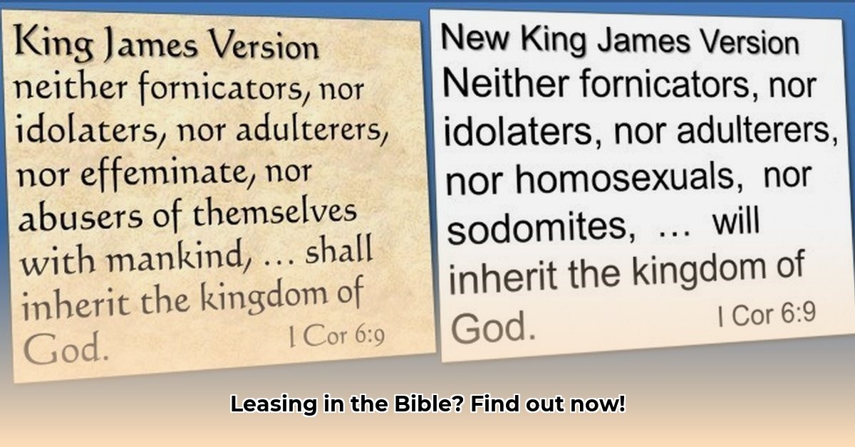 definition-of-leasing-in-the-bible